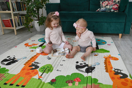 LITTLE STORY Foldable Double-sided XPE Foam Mat 180x120x1 cm XPE-F10120