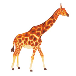 ROBOTIME Puzzle 3D Do Malowania - Żyrafa